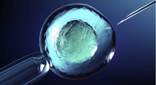 GettyImages-1148114092-cell-embryo-IVF