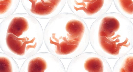 GettyImages-1165506821-embryo-fetus