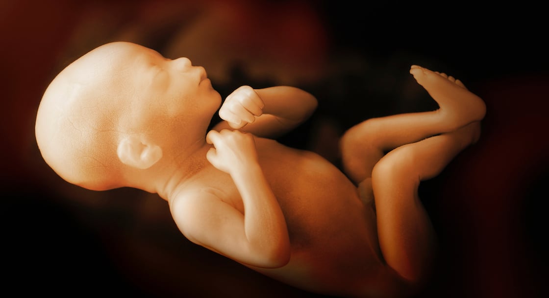 GettyImages-471234119-preborn-baby-2