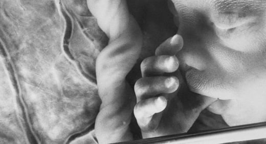 GettyImages-517285688-18-week-fetus-1