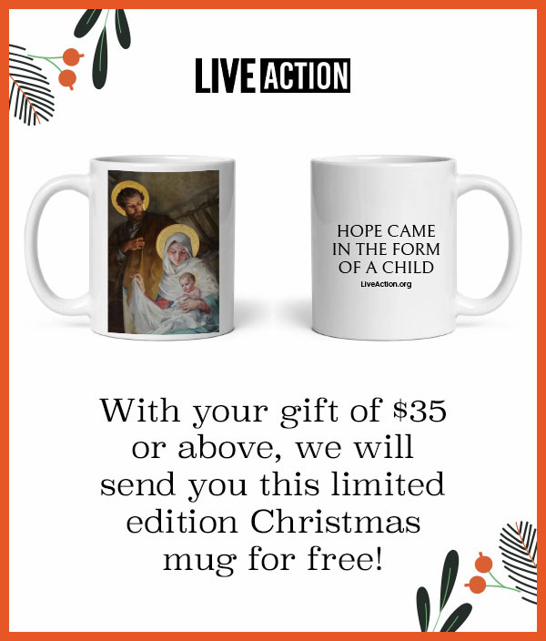 LA23 Christmas Mug