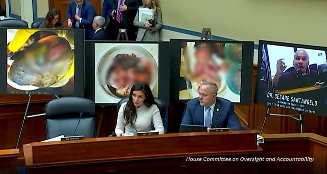 justice-for-the-five-hearing
